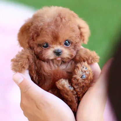 Final 3 Hours: 60% OFF🔥My Realistic Robot Puppy🐶🌭